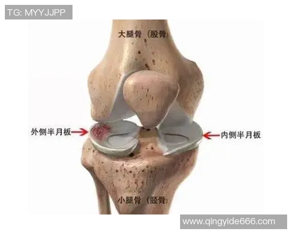 打篮球半月板受伤的原因及预防措施详解