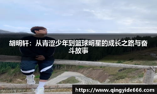 XK体育