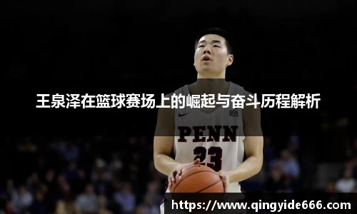XK体育